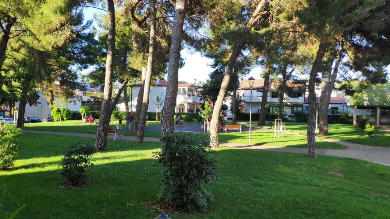 Apartman Morena Новиград Екстериор снимка
